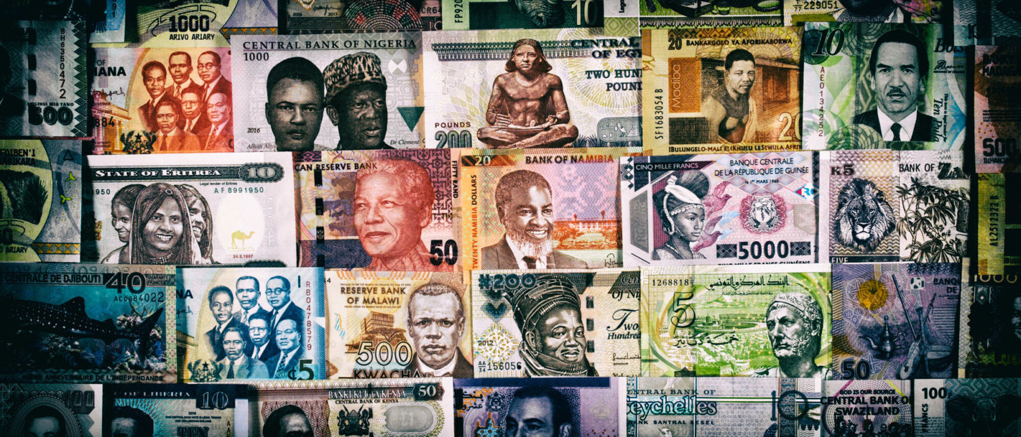 Image Title Image Title