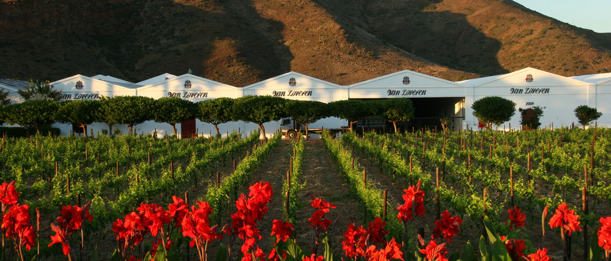 Image Title Image Title