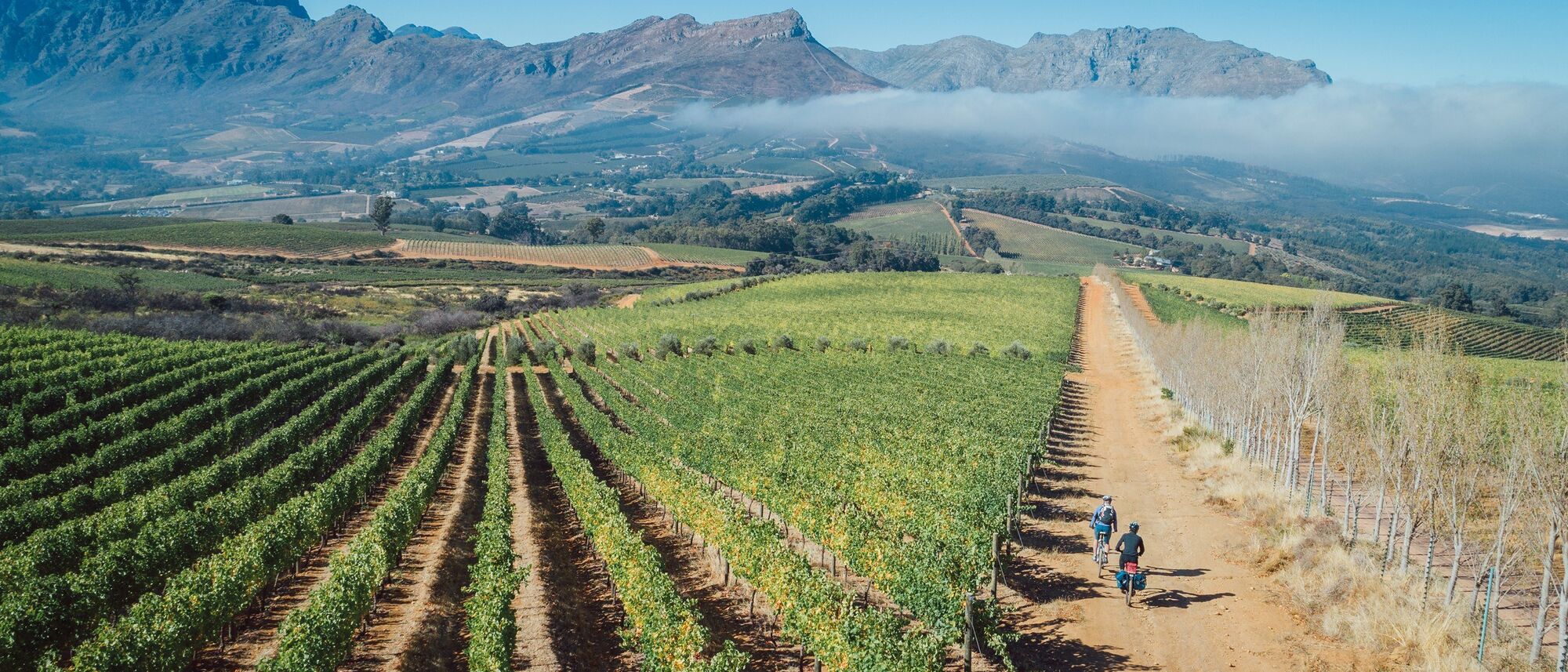 Image Title Image Title