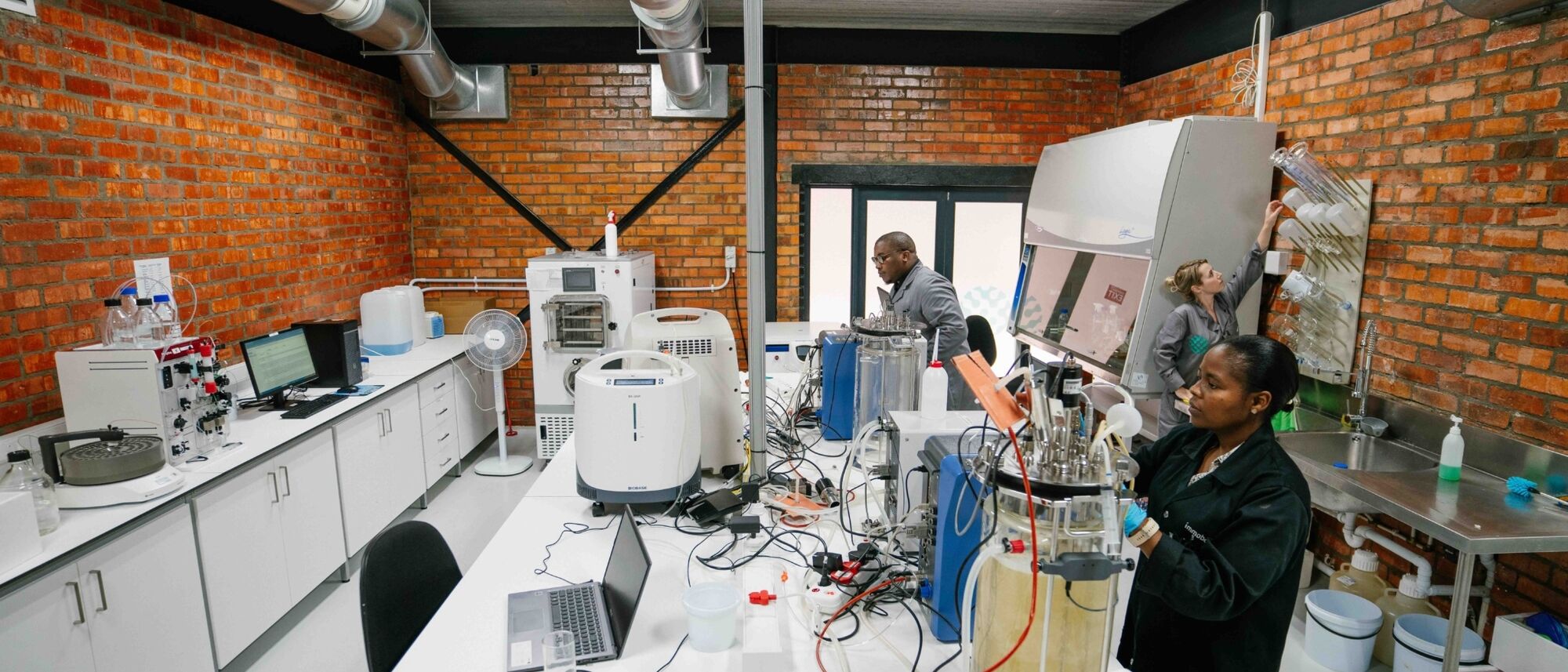 Image Title Image Title