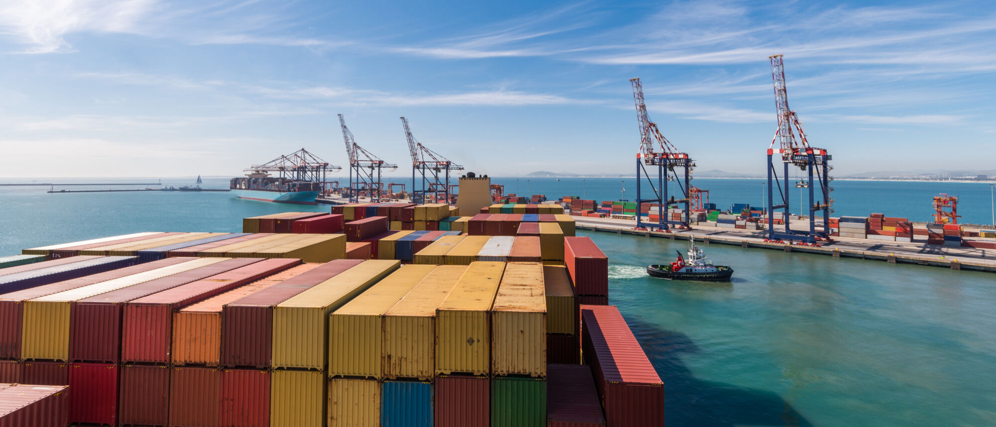 Image Title Image Title