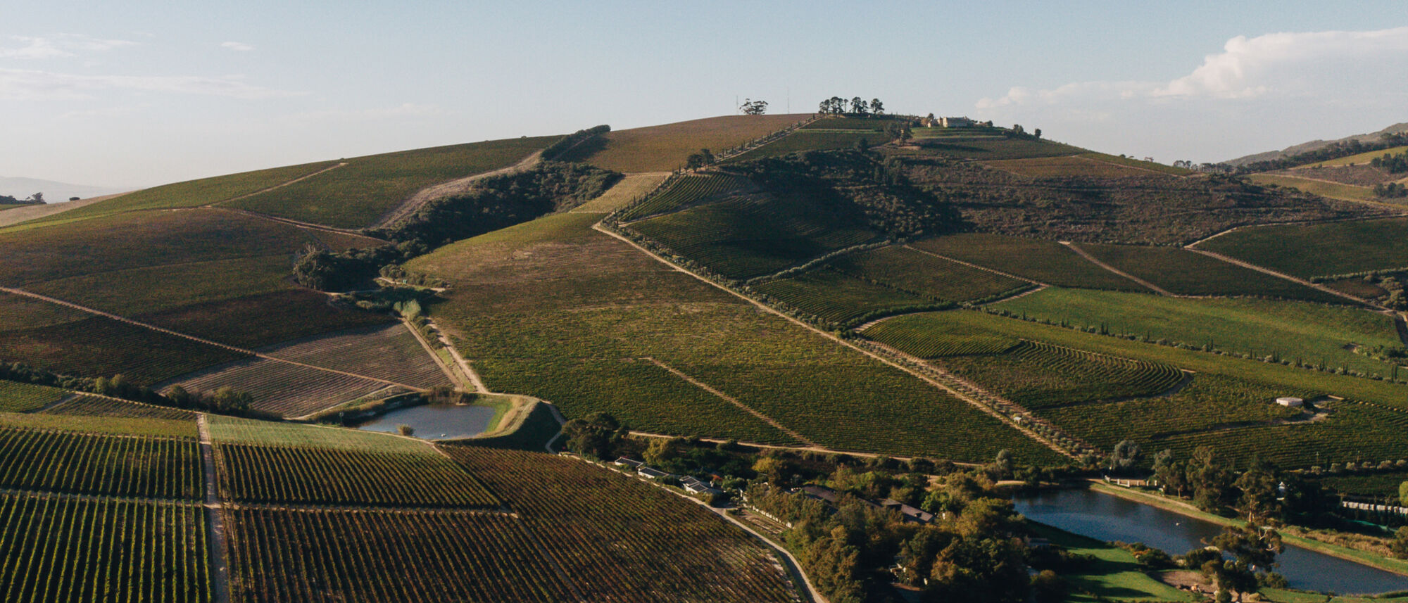 Image Title Image Title