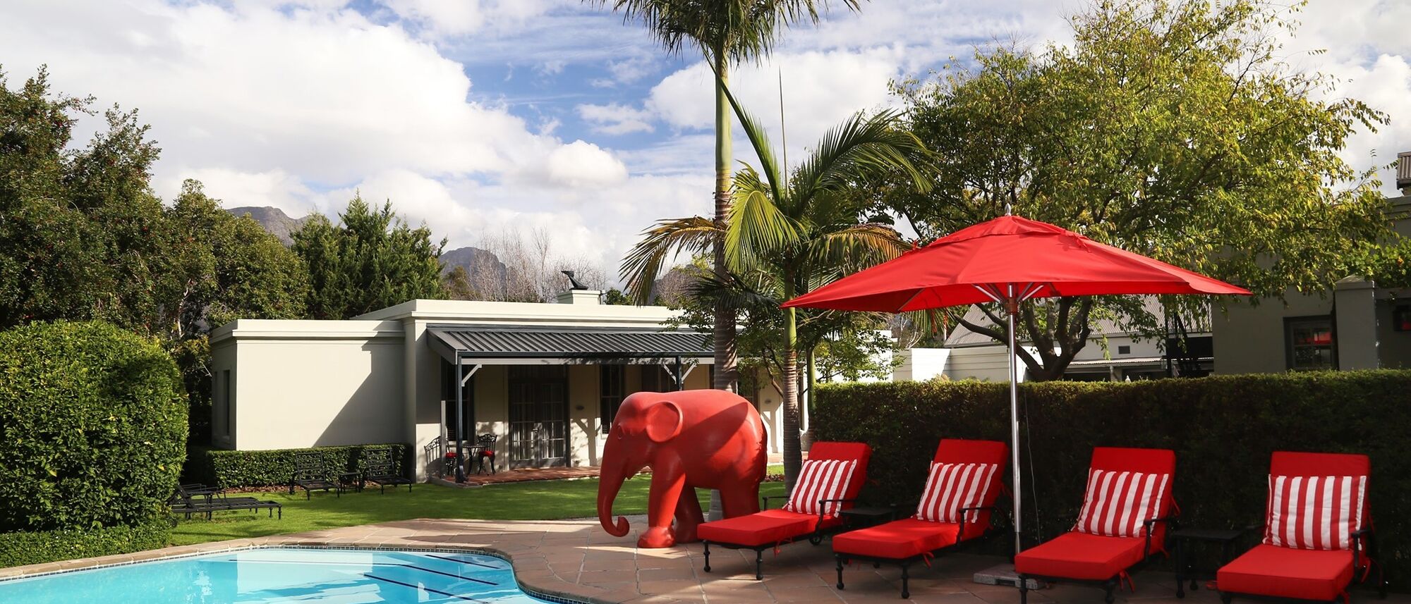 Image Title Image Title