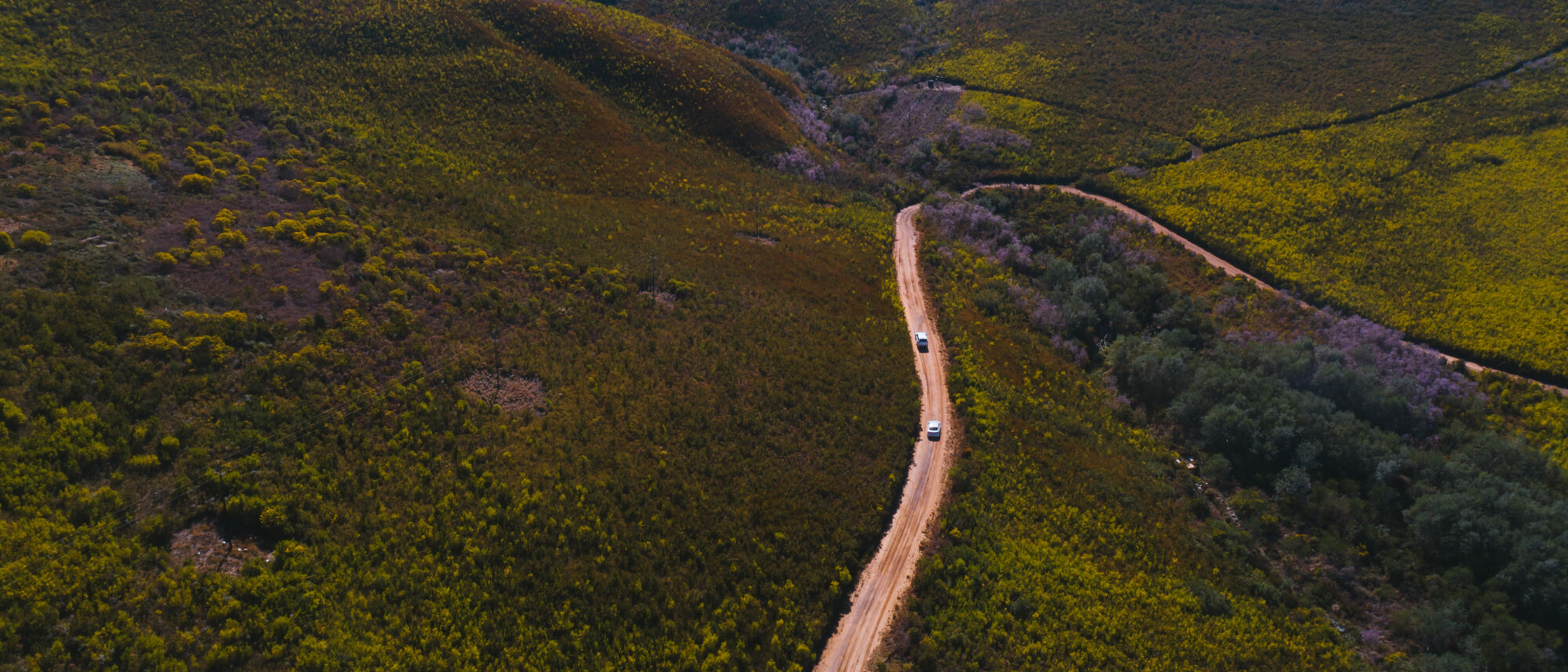 Image Title Image Title