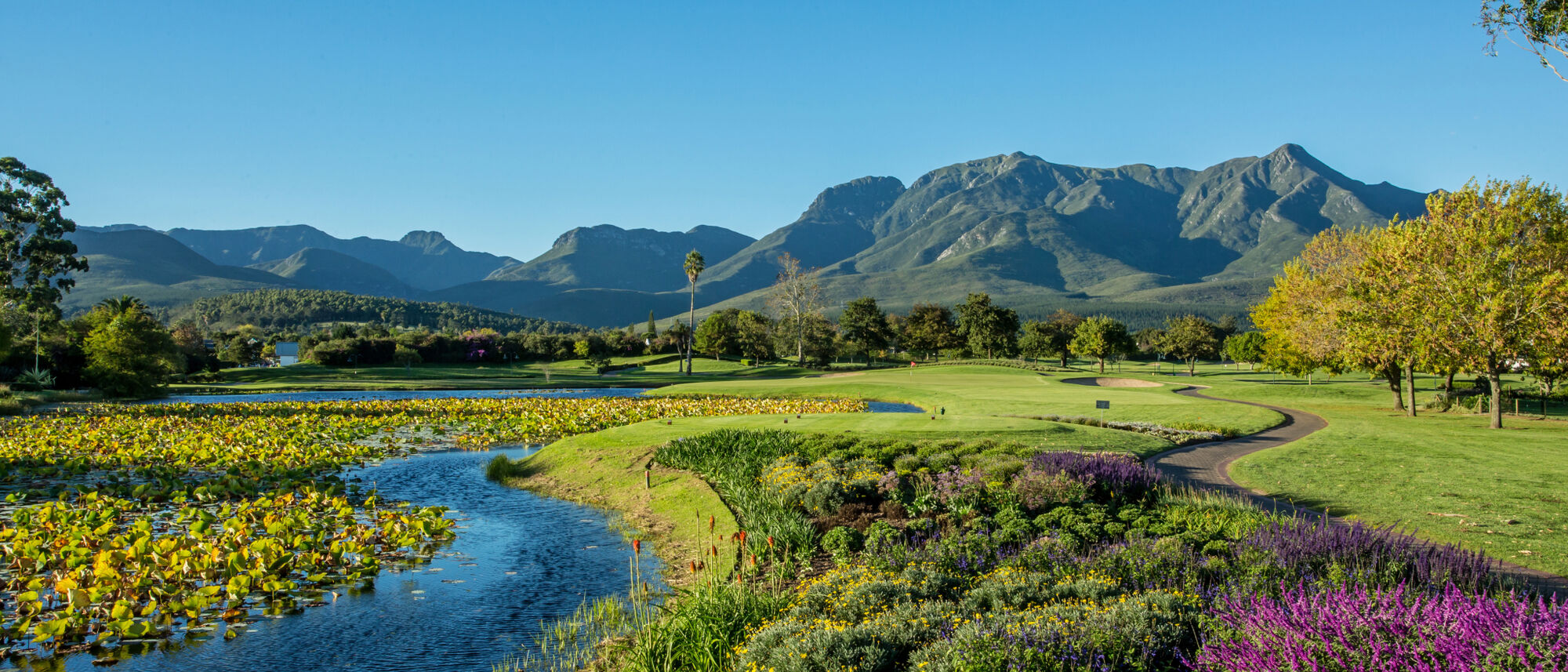 Image Title Image Title