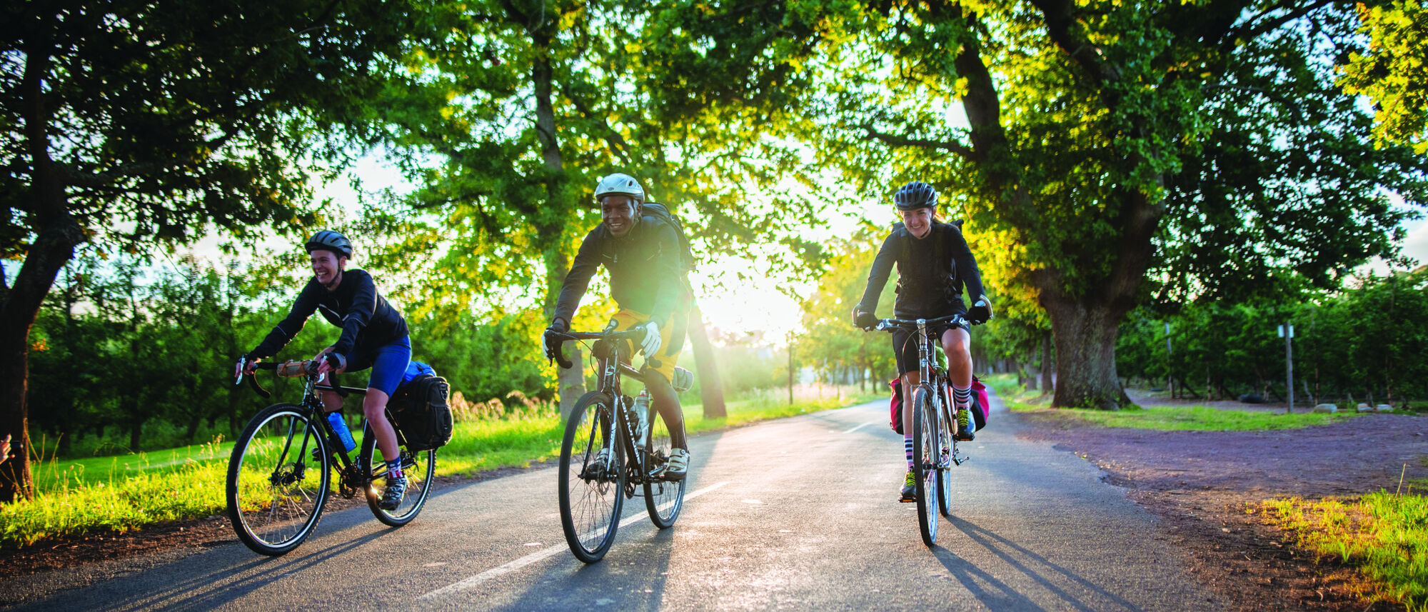 Image Title Image Title