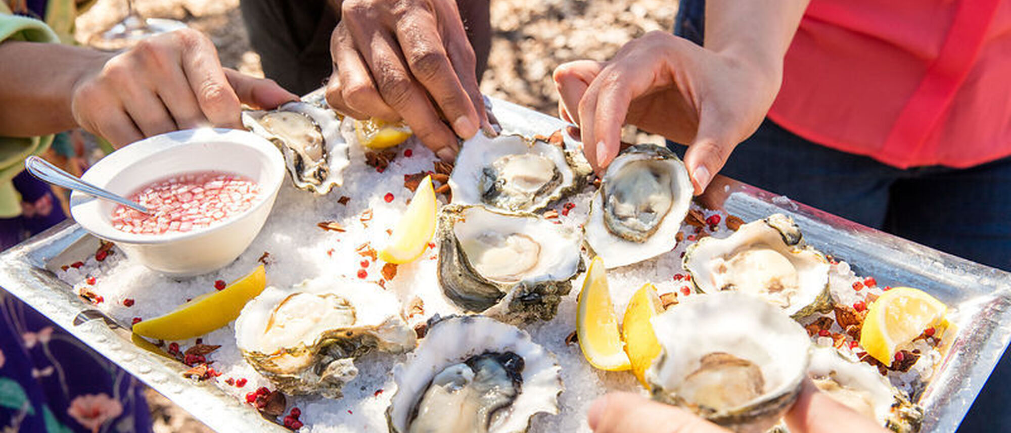 Image Title Image Title