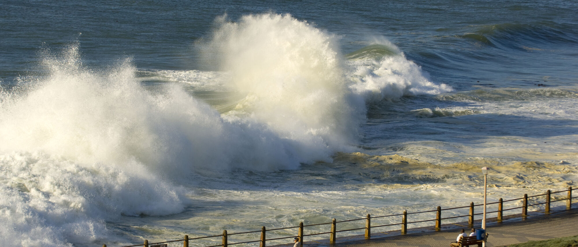 Image Title Image Title