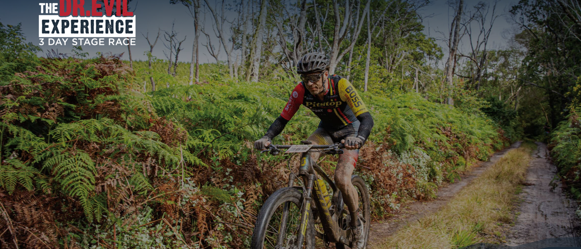 Image Title Image Title