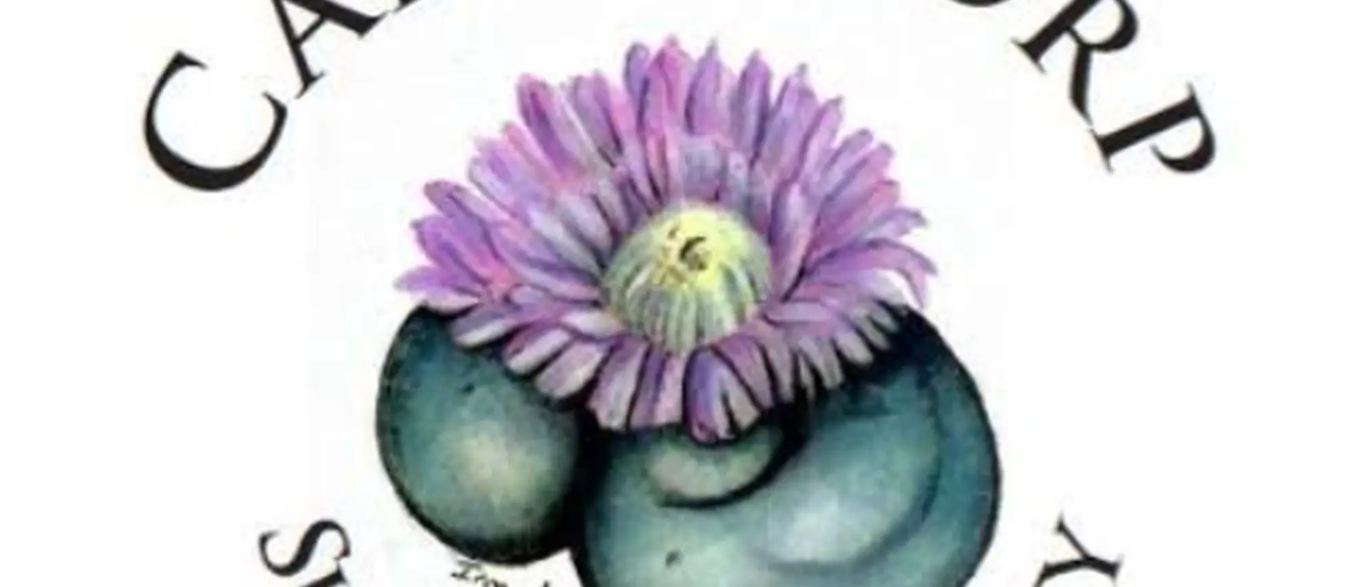 Image Title Image Title