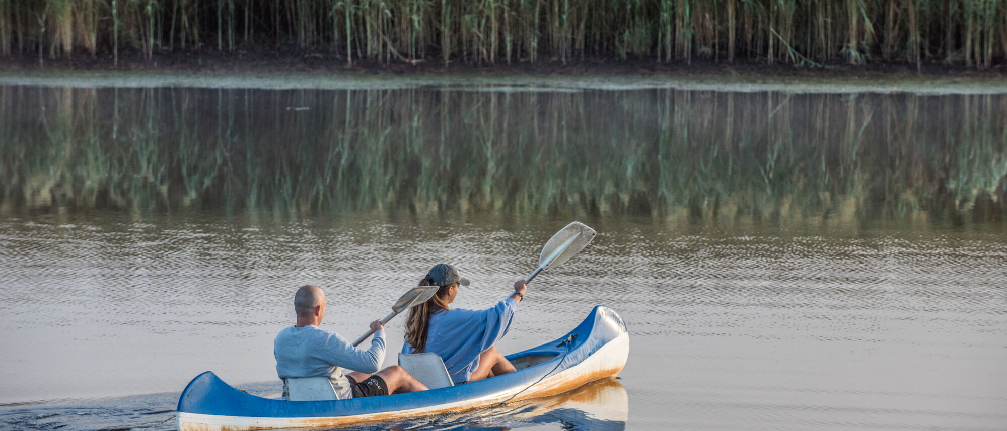 Image Title Image Title