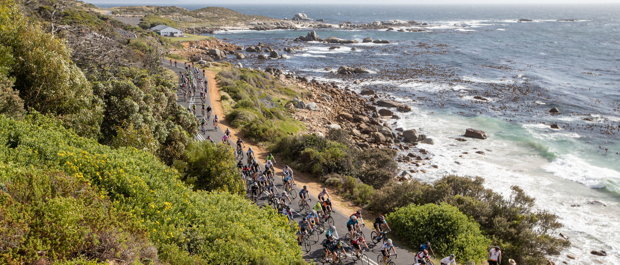 Image Title Image Title