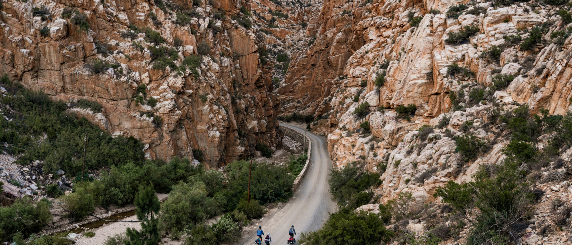 Image Title Image Title