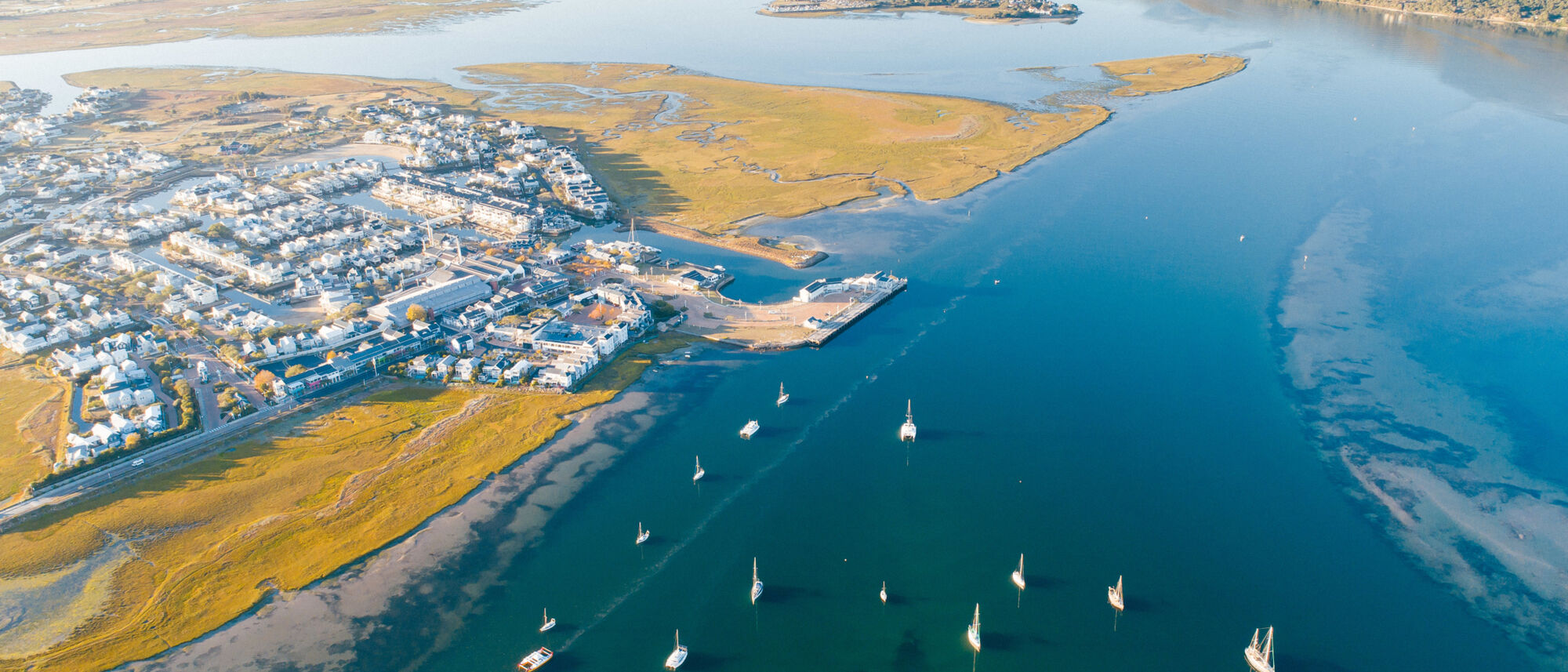 Image Title Image Title