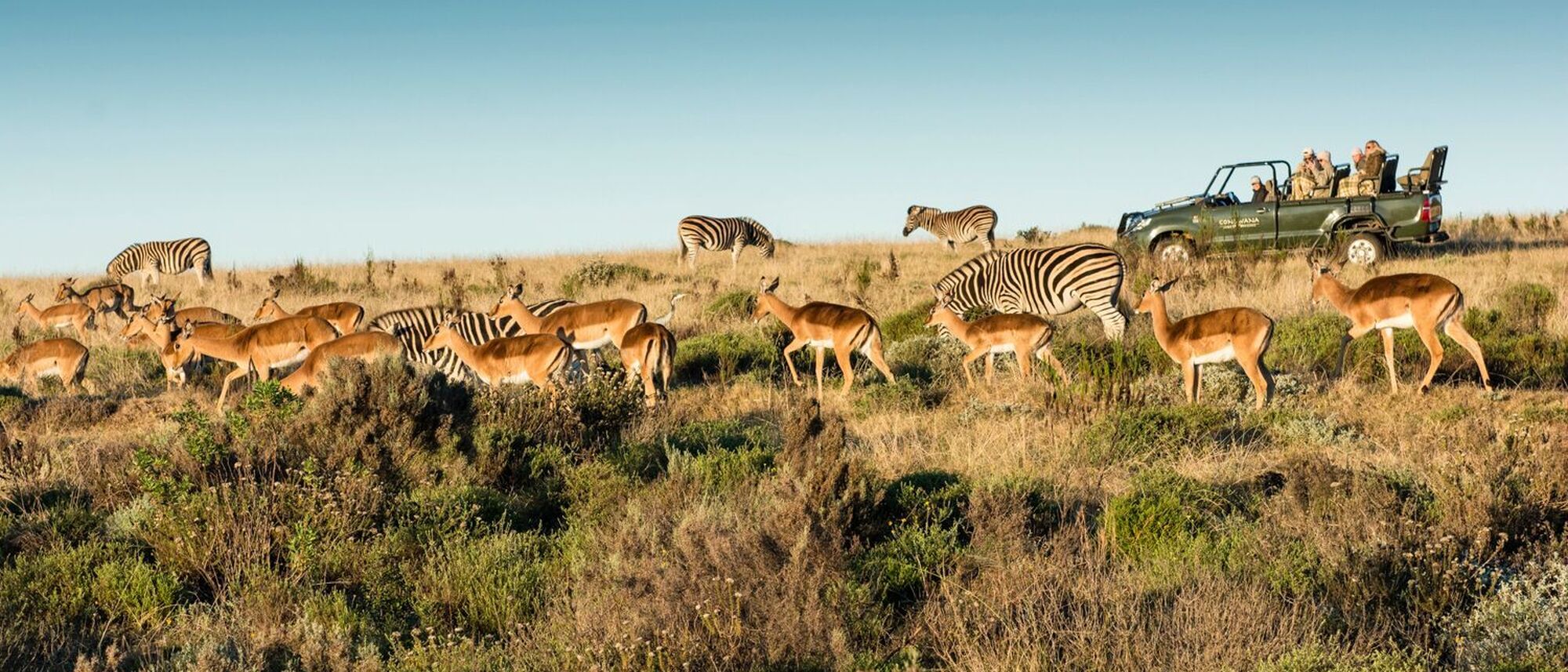 Image Title Image Title