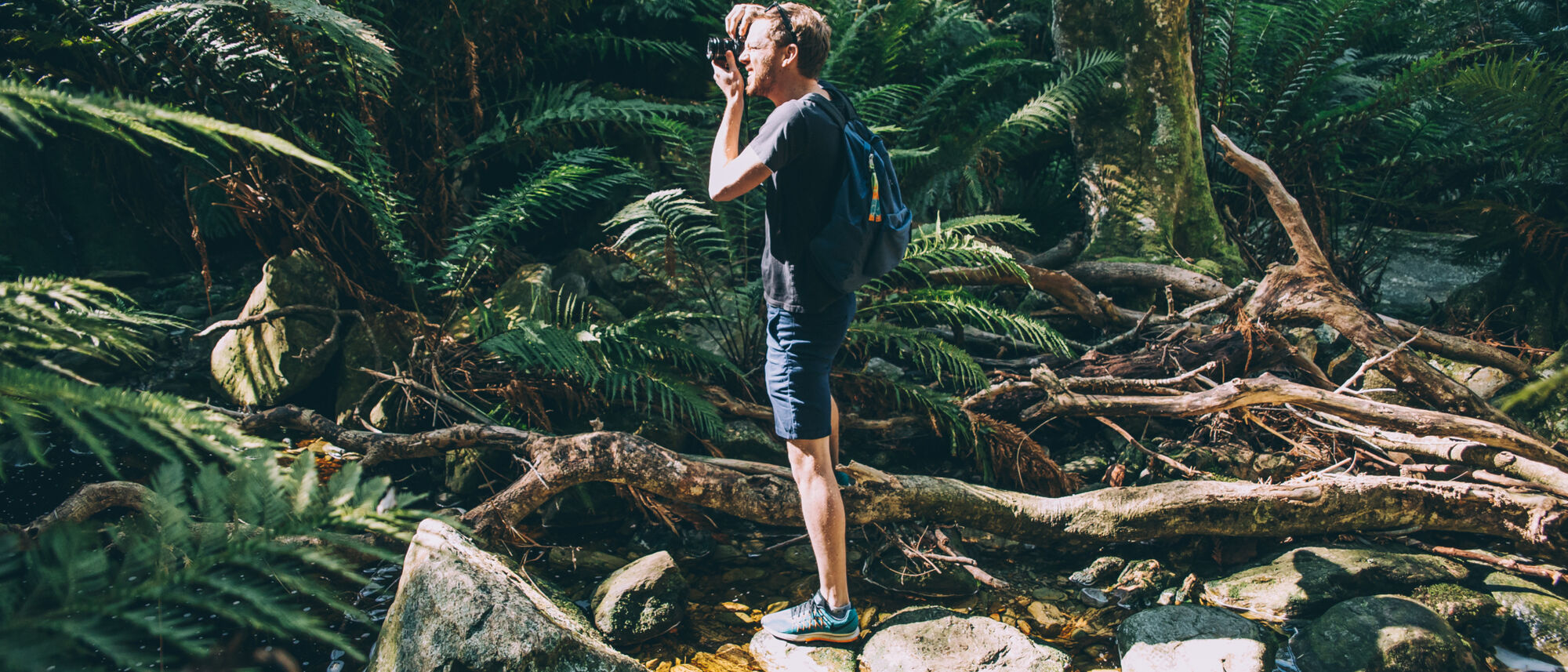 Image Title Image Title