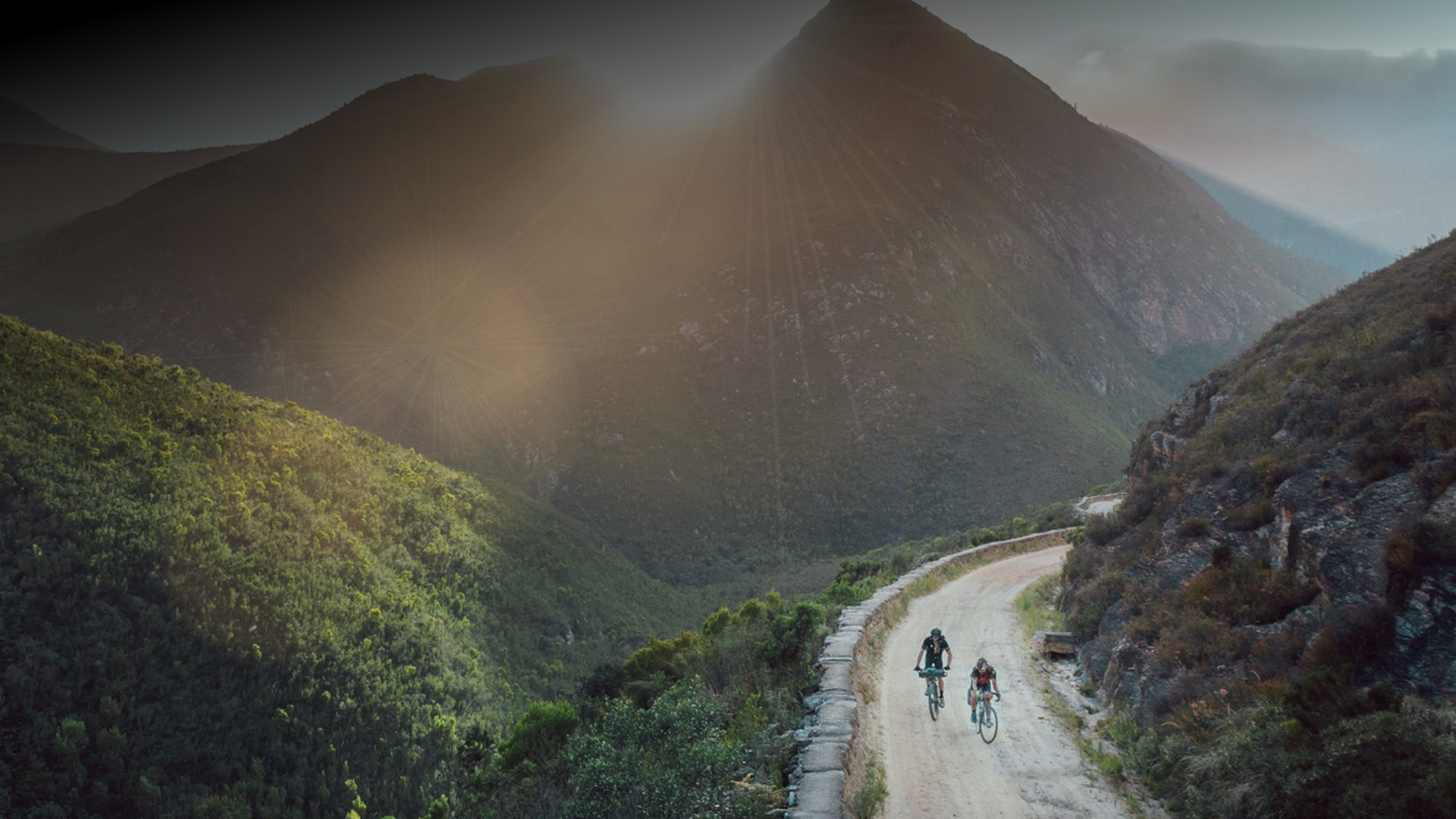 Image Title Image Title