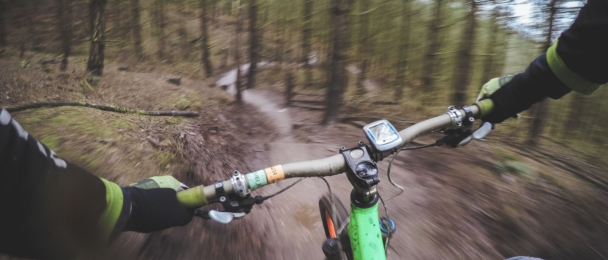 Image Title Image Title