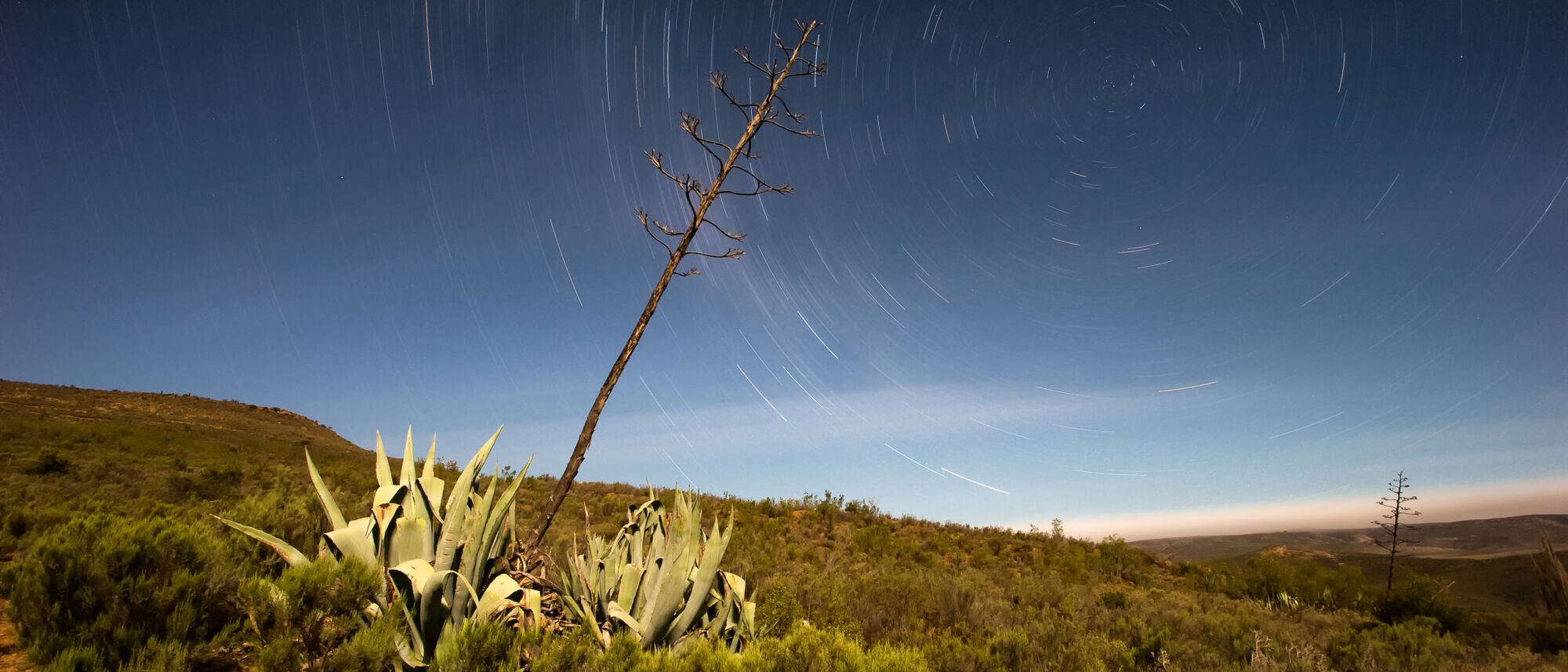 Image Title Image Title