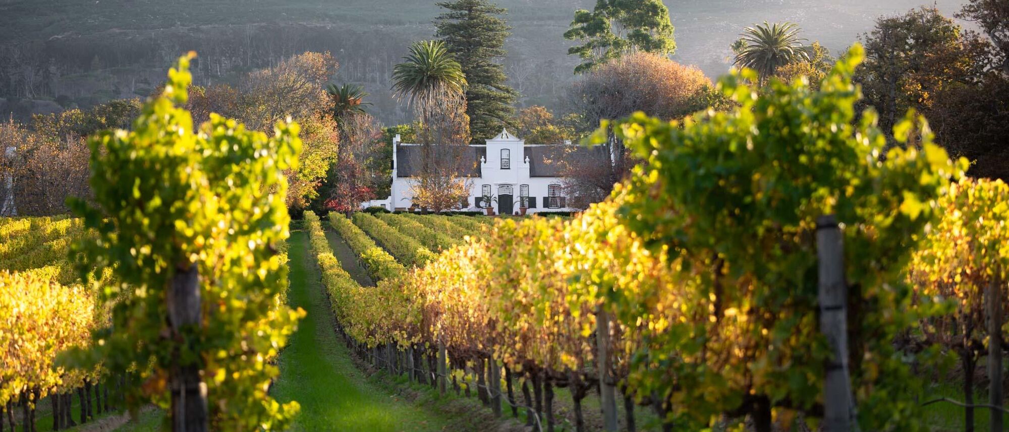 COVER IMAGE Buitenverwachting COVER IMAGE Buitenverwachting