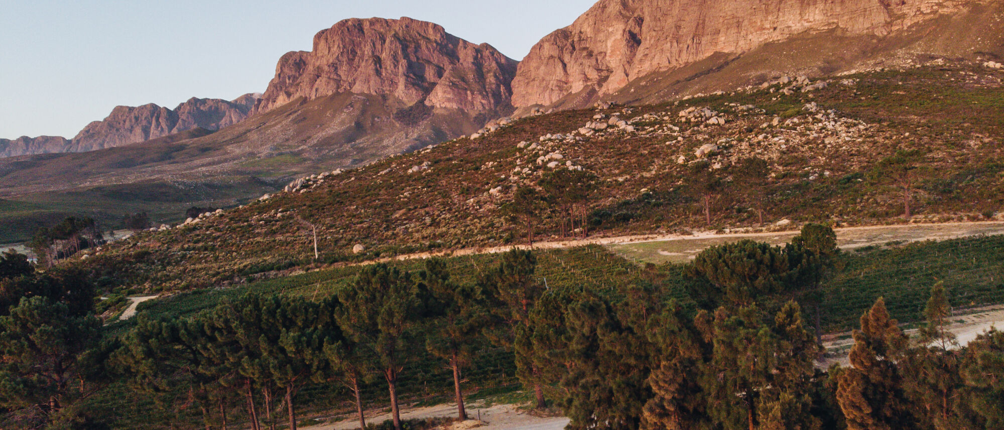 Image Title Image Title