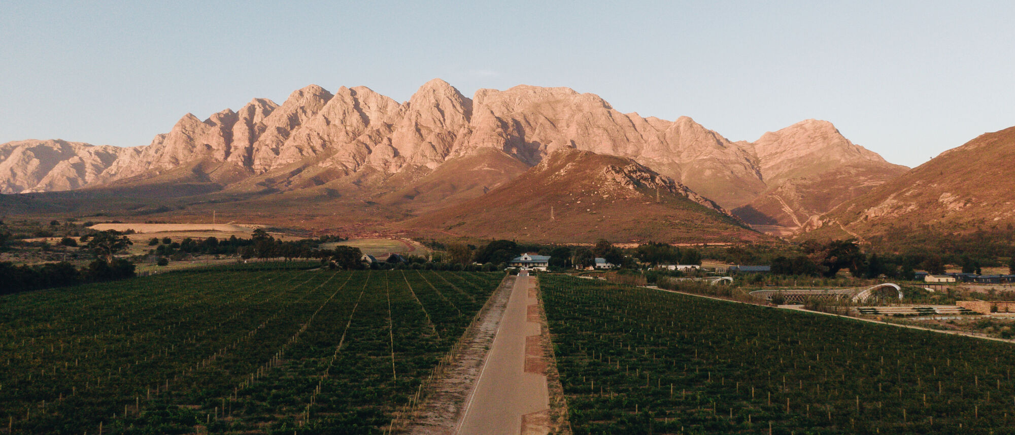 Image Title Image Title