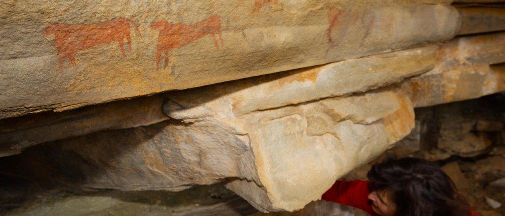 Image Title Image Title