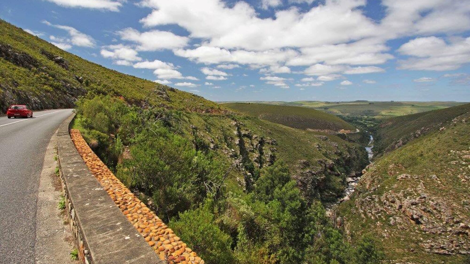 Image Title Image Title