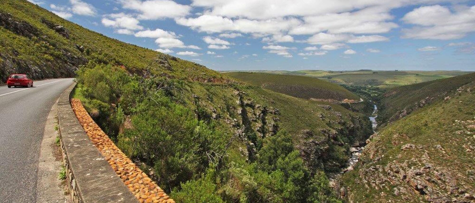 Image Title Image Title