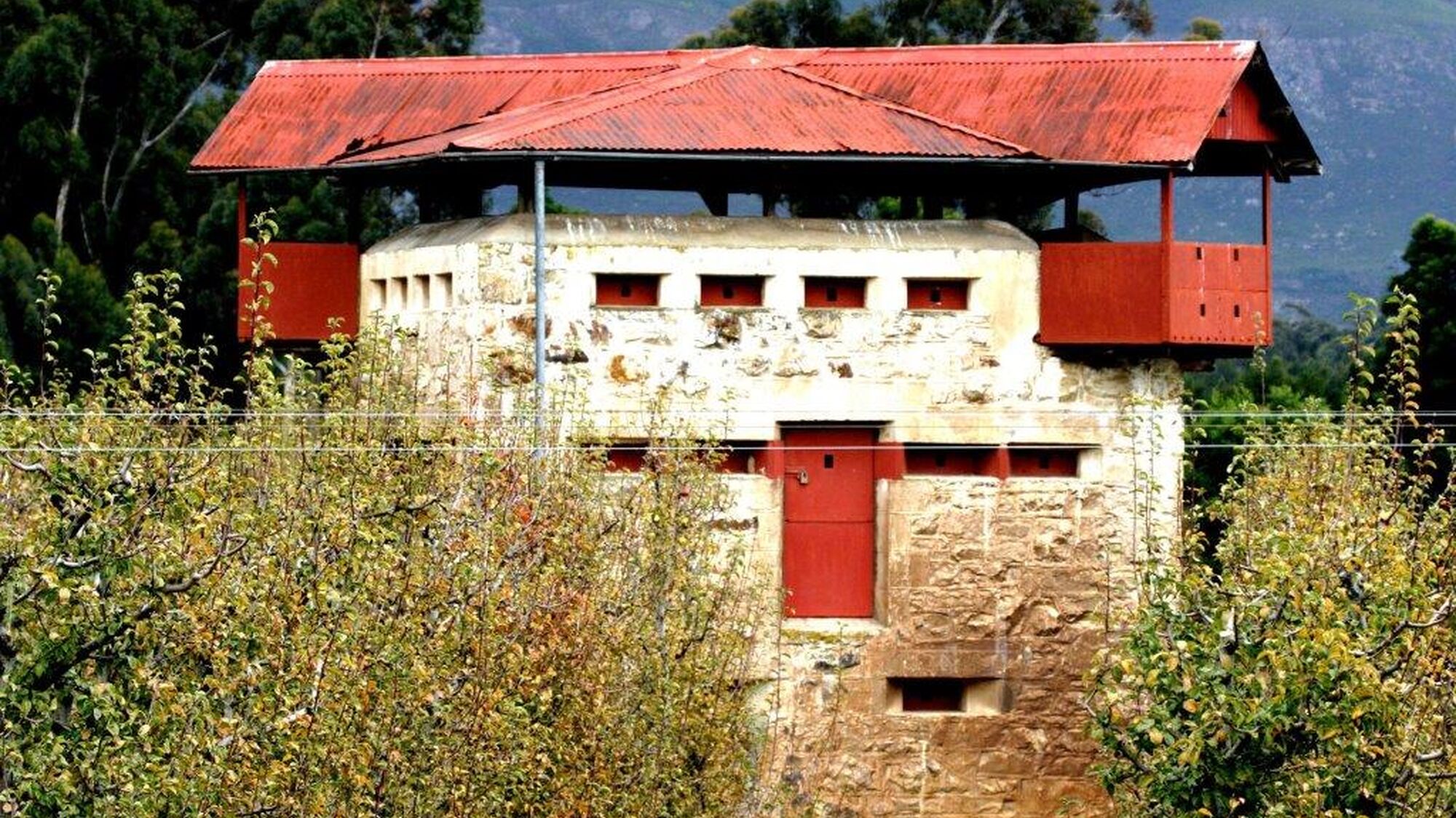 Image Title Image Title