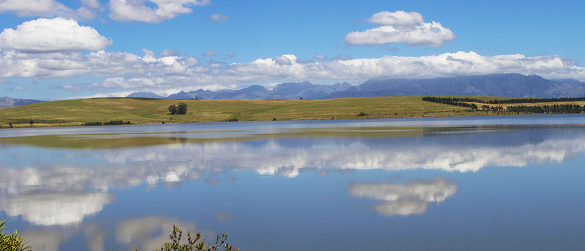 Image Title Image Title