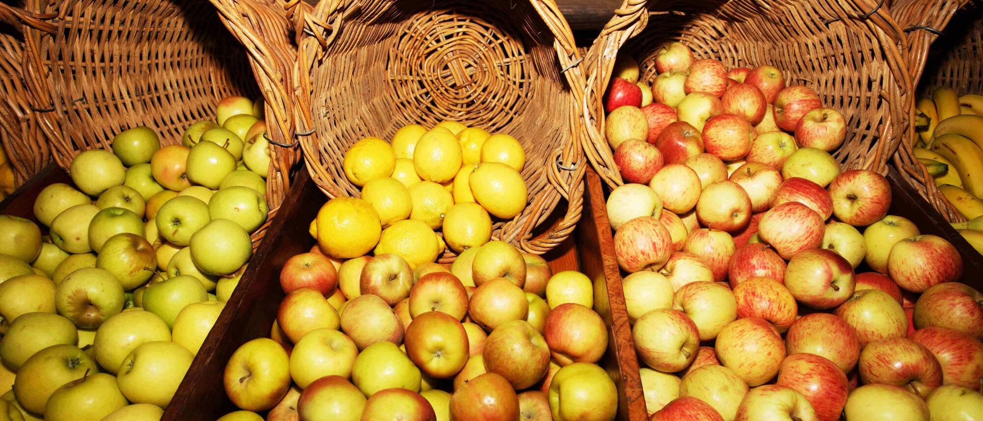 Image Title Image Title