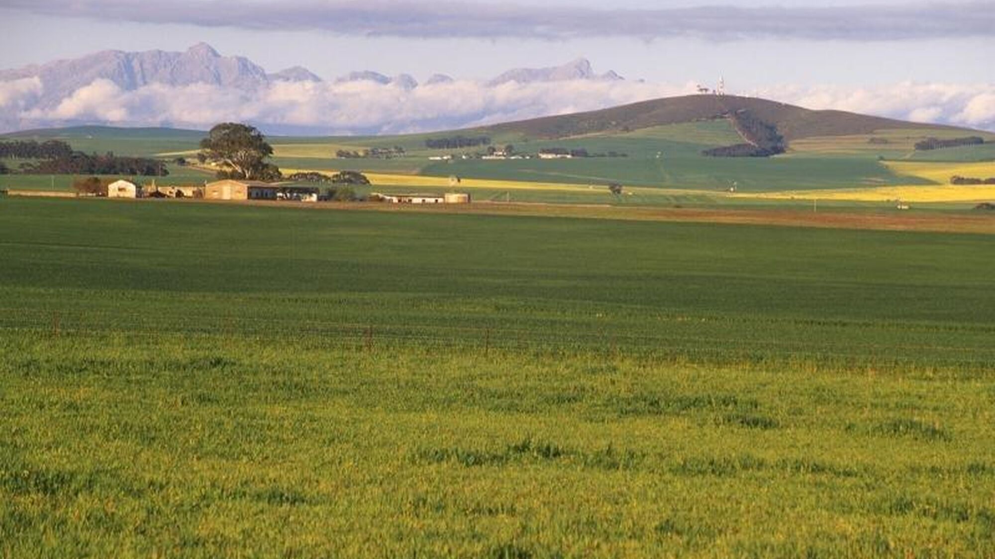 Image Title Image Title