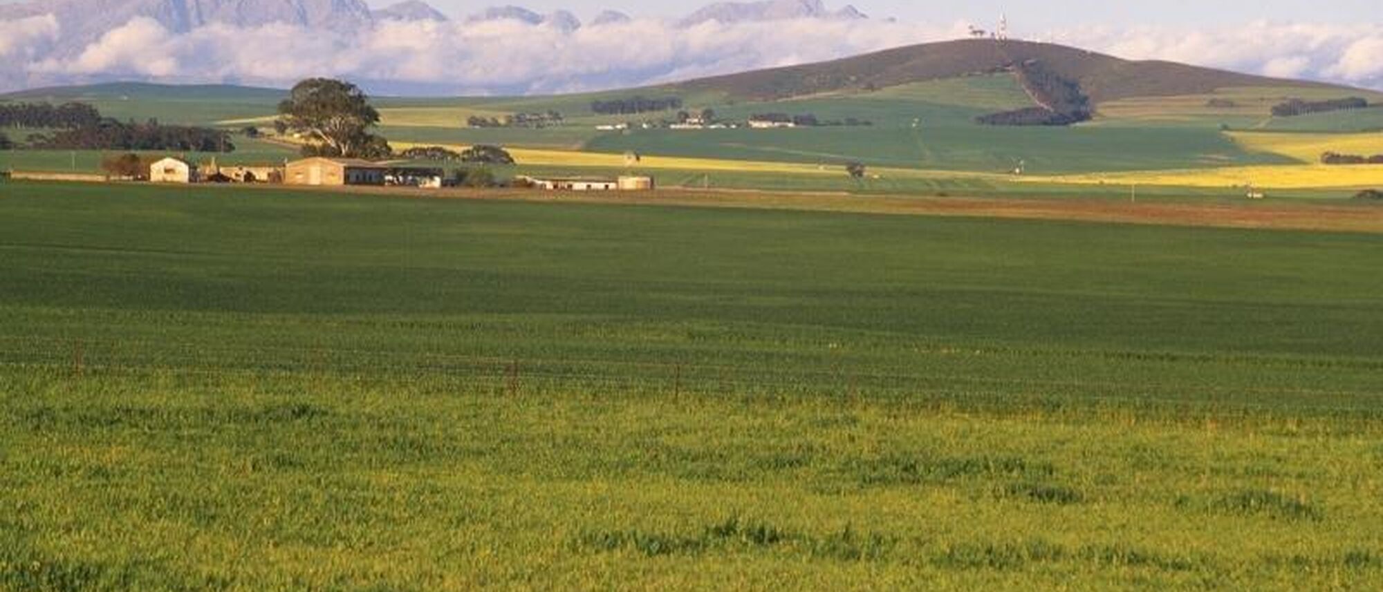 Image Title Image Title