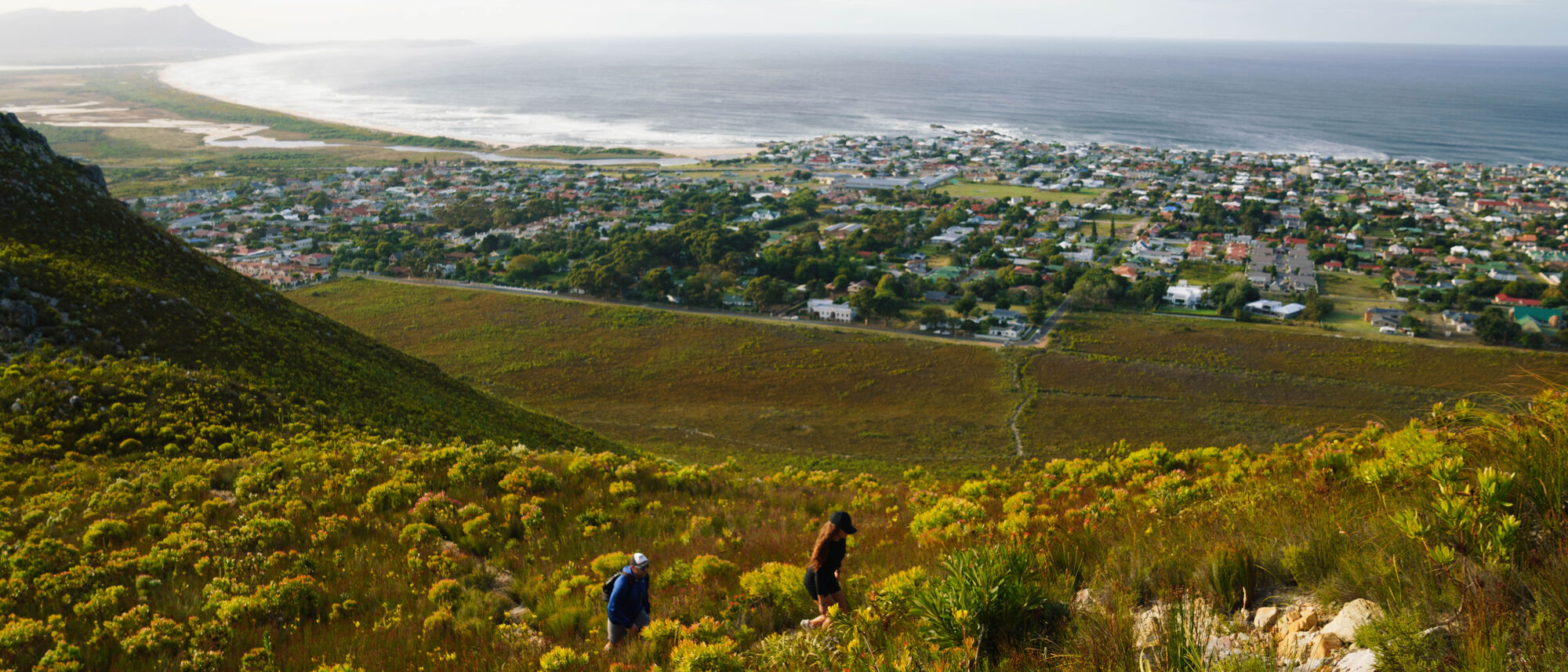 Image Title Image Title