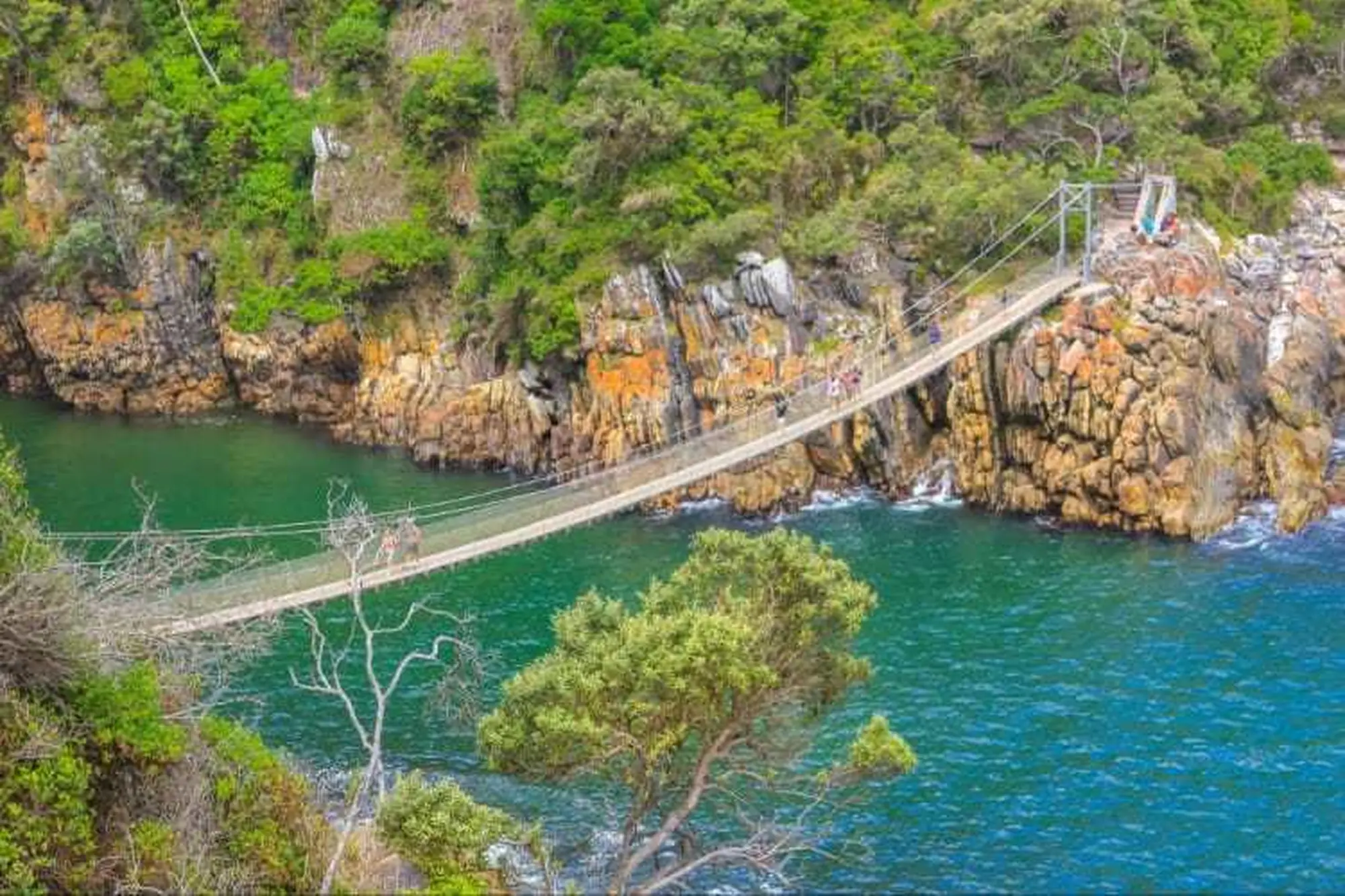 Garden route things to do 2023 hiking at storms river Garden route things to do 2023 hiking at storms river