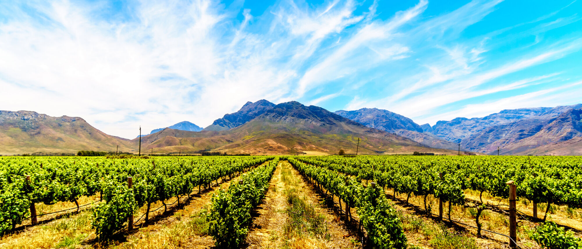 Image Title Image Title