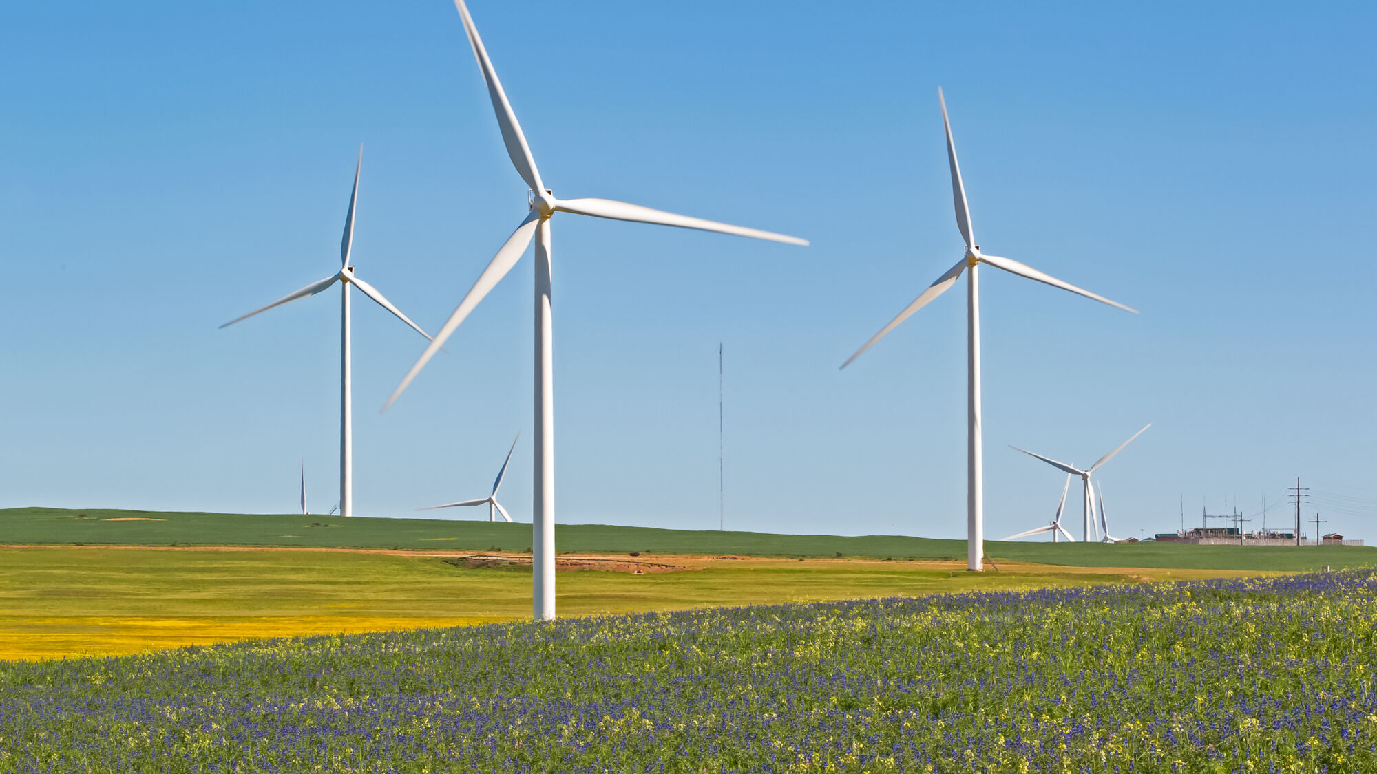 Image Title Image Title