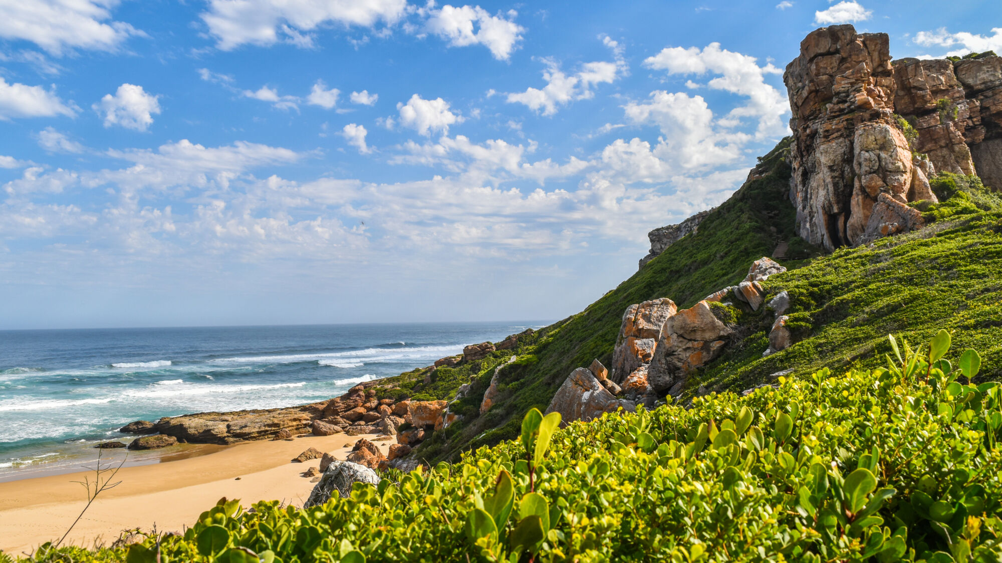 Image Title Image Title