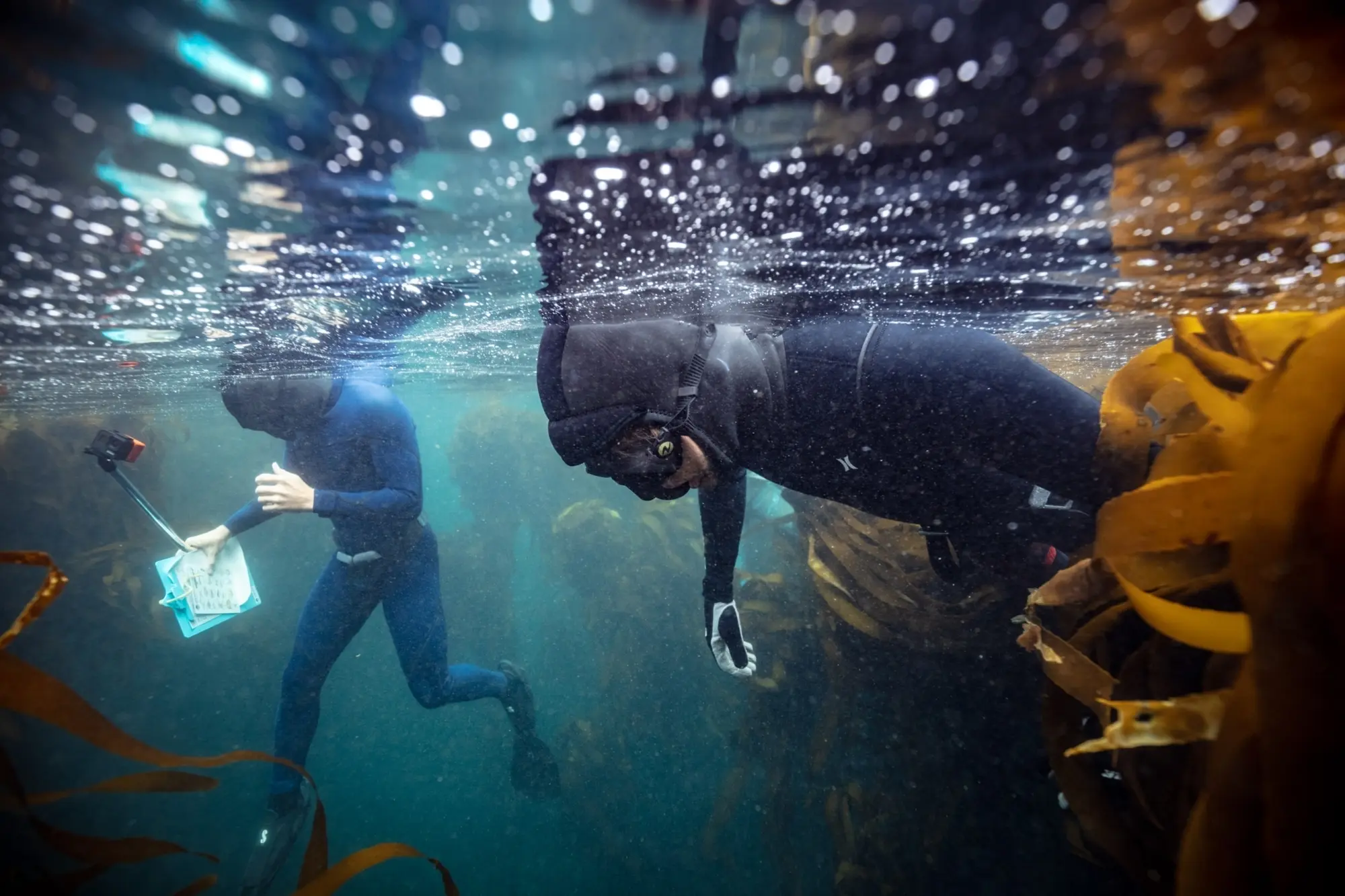 Snorkel300dpi Snorkel300dpi