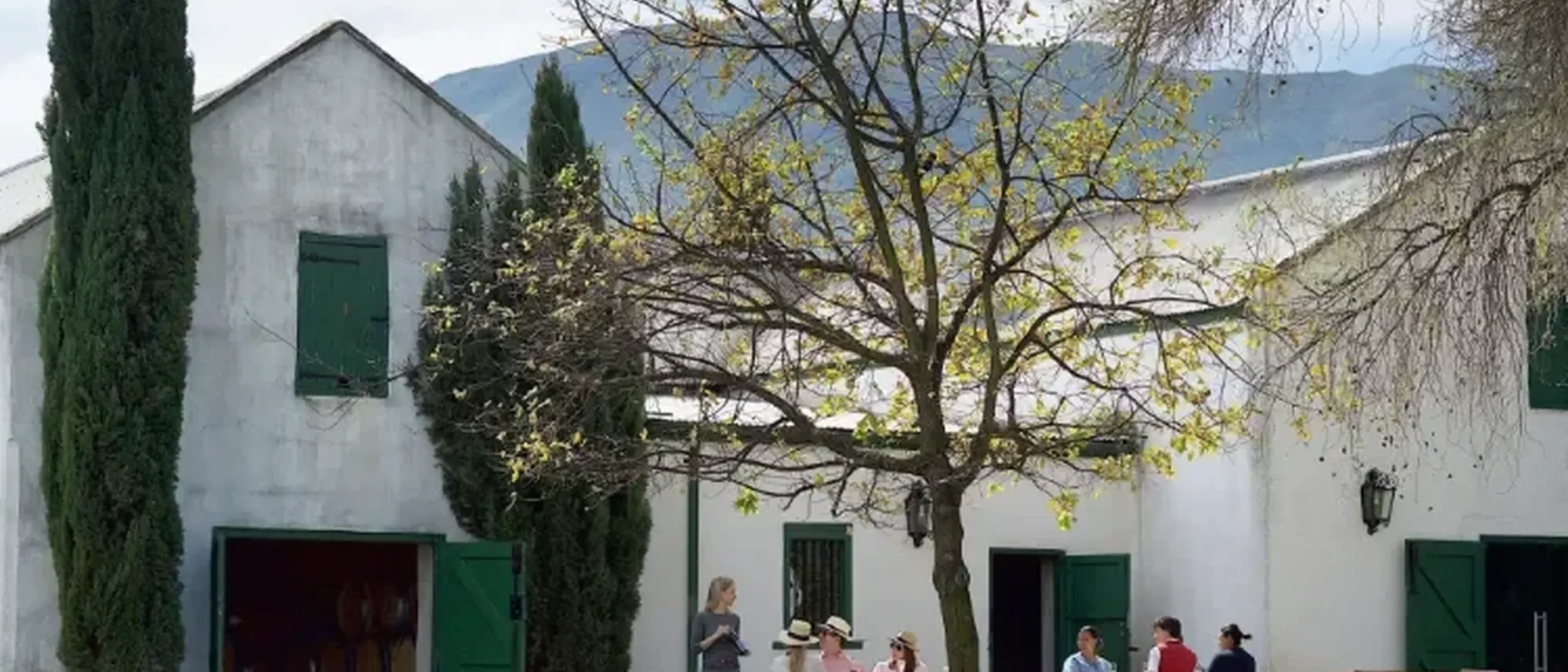 Image Title Image Title