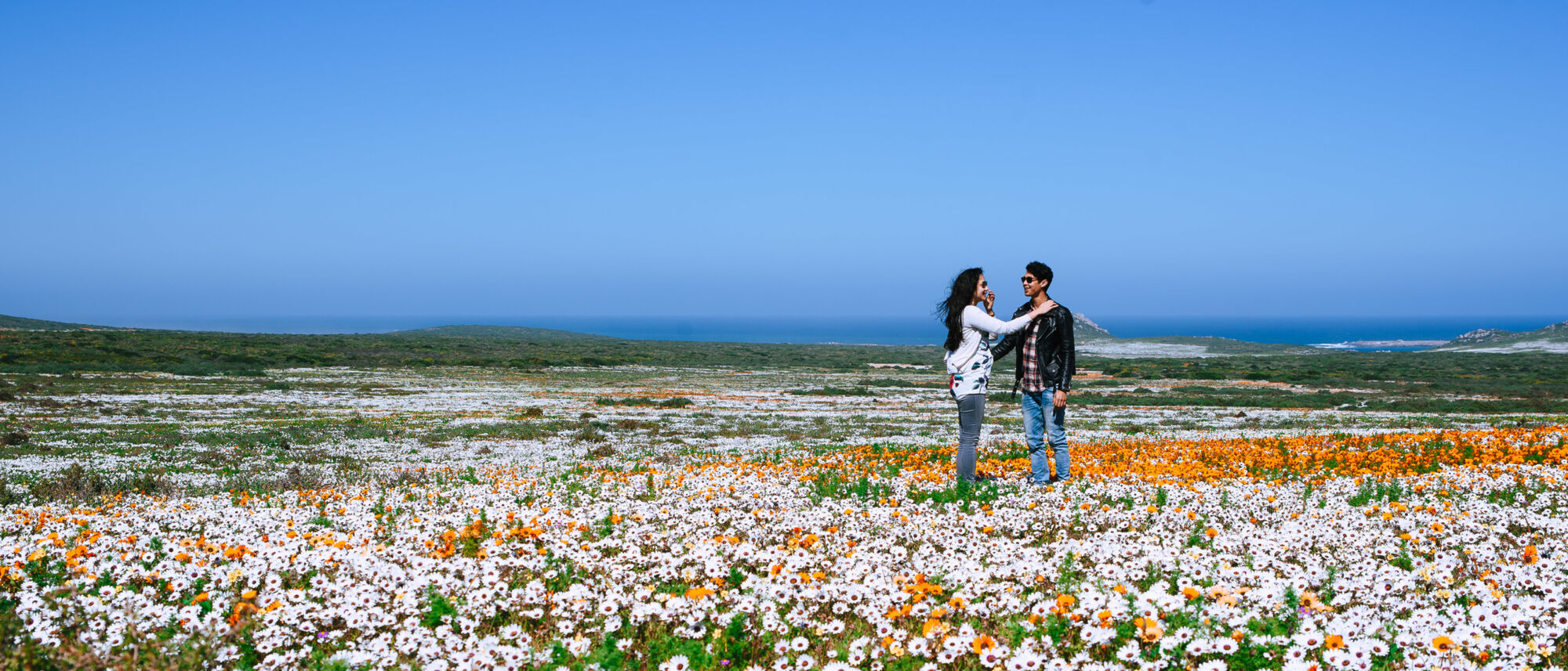 Image Title Image Title