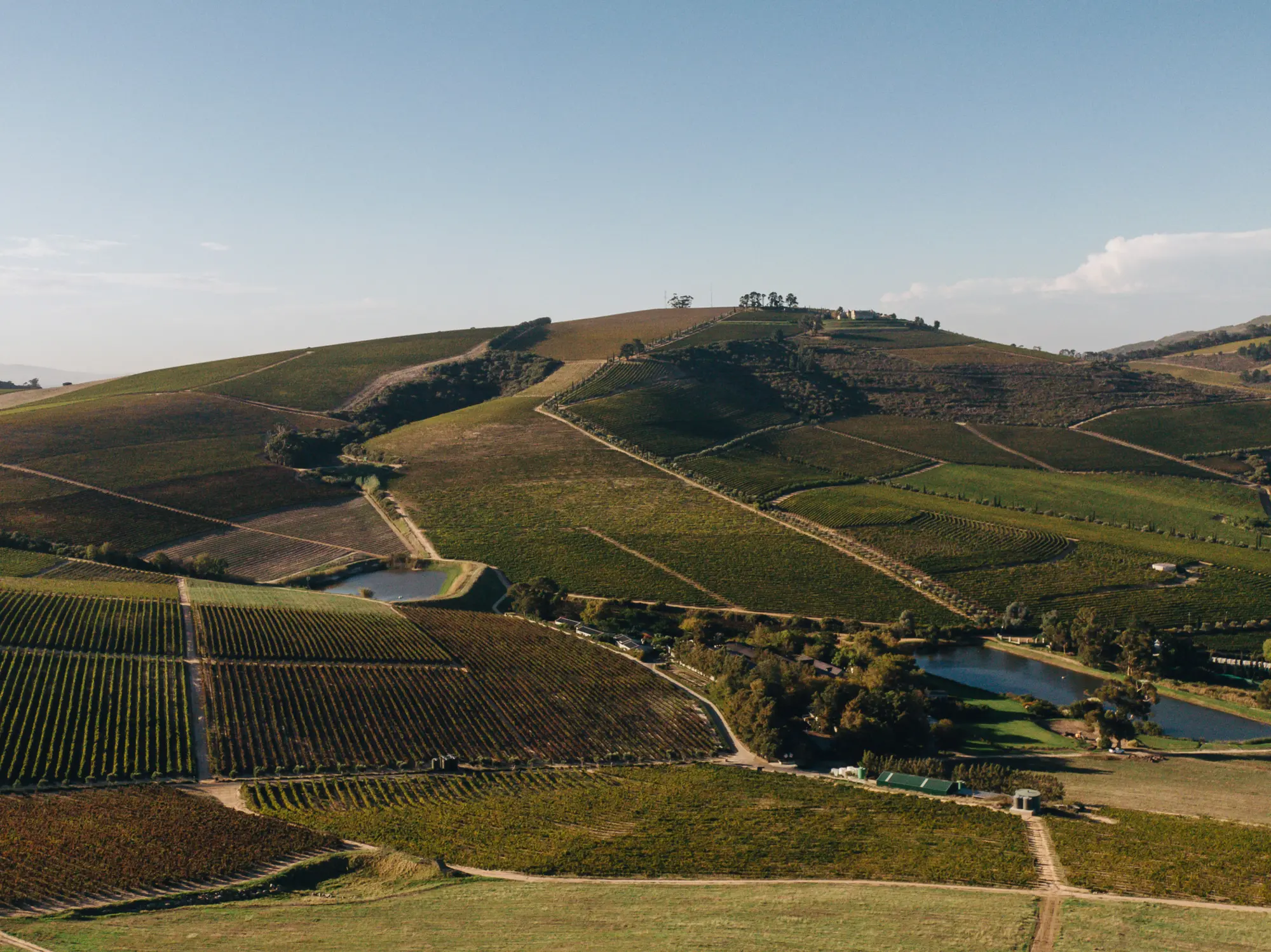 Winelands Winelands